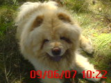 DSC00341.JPG